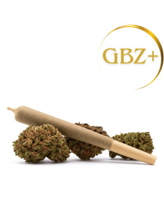 Pre-Roll Limoncello GBZ+ 100% Pure