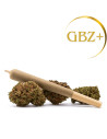 GrosBuzz.com | 1 Acheté 1 OFFERT - Gummies THC 40mg - Lemon 🍋