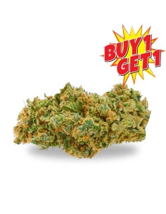 BUY 1 GET 1 - Blumen Limoncello 𝗚𝗕𝗭+ Stärke: 🌟🌟🌟🌟🌟