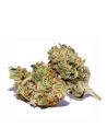 GrosBuzz.com | 10-OH-HHC Fleur Strawberry Kush