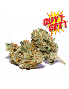 10-OH-HHC Fleurs | GrosBuzz.com
