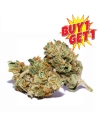 GrosBuzz.com | 10-OH-HHC Fleur Strawberry Kush