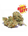 GrosBuzz.com | 10-OH-HHC Flower Strawberry Kush