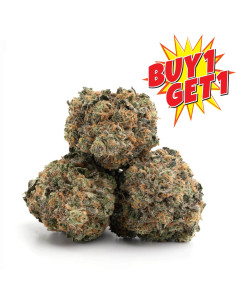  🚀GBZ | GrosBuzz.com