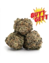 GrosBuzz.com | 1 Acheté 1 OFFERT - Fleur Buddha Cheese GBZ Puissance: ⭐⭐⭐⭐